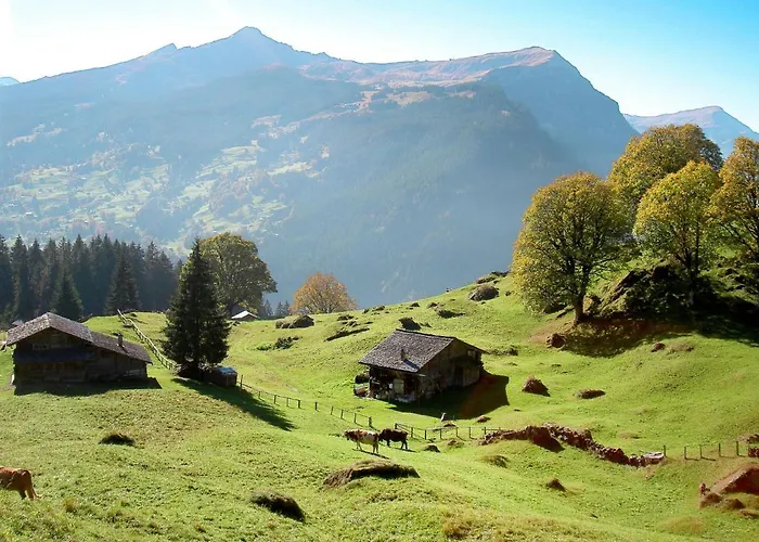 Apartman Abendrot Apartments-24 By Interhome